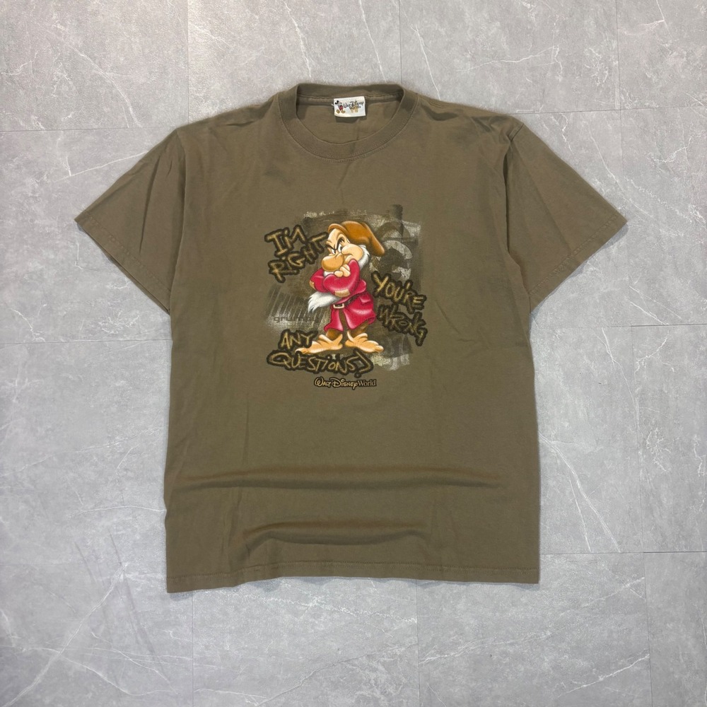 Walt Disney World Grumpy Im Right Youre Wrong T-Shirt Mens Medium Brown Graphic